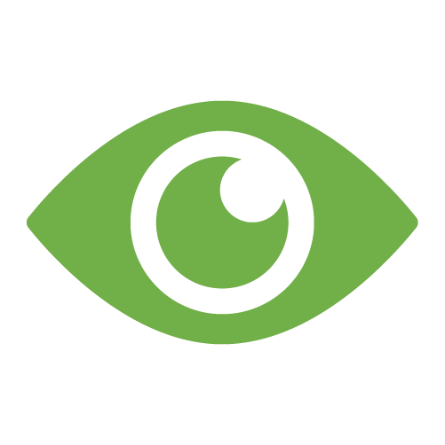 vision